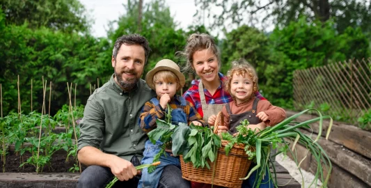 Healthy Family With Father, Mother, And Two Kids Happily Collecting Fresh Vegetables In A Garden