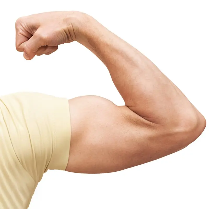 Arms